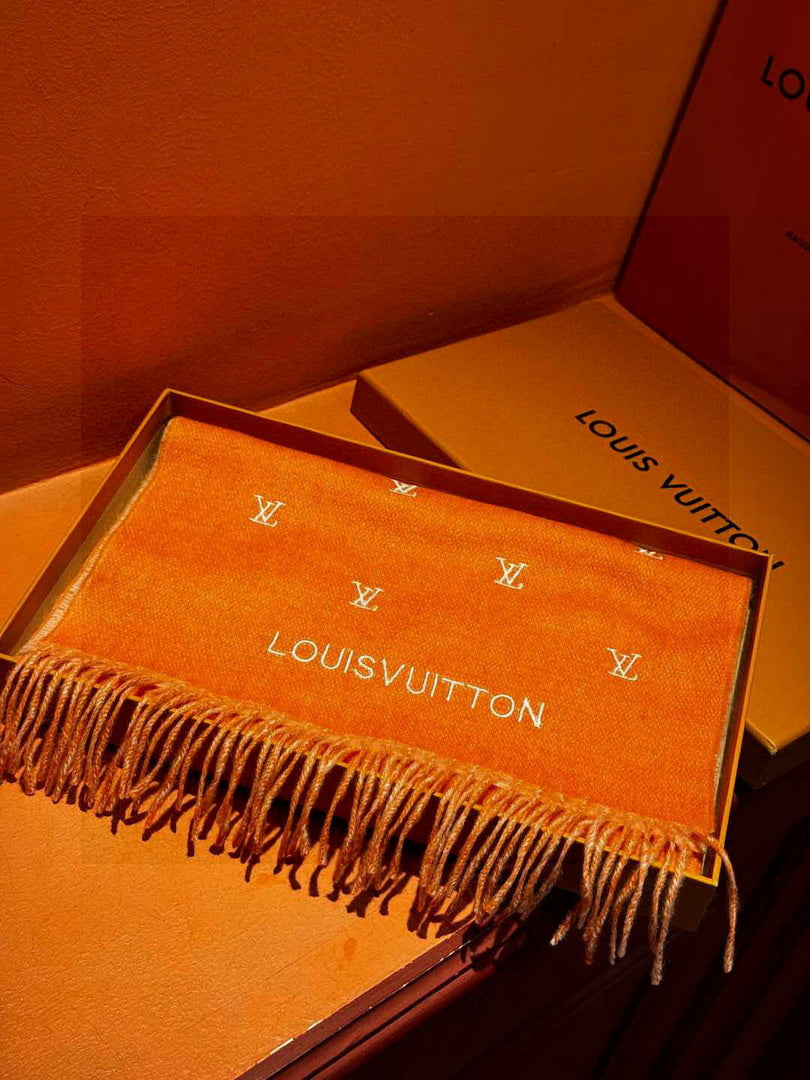 Louis Vuitton Fashion Double-faced Cashmere Scarf L39046