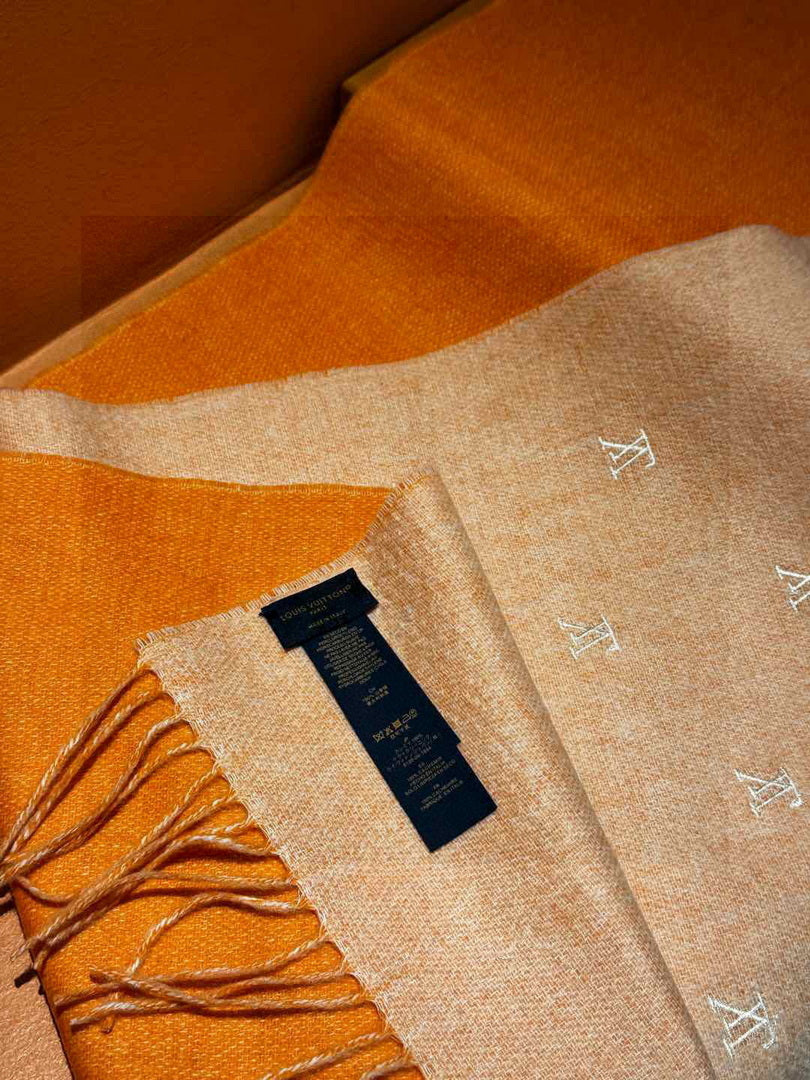 Louis Vuitton Fashion Double-faced Cashmere Scarf L39046