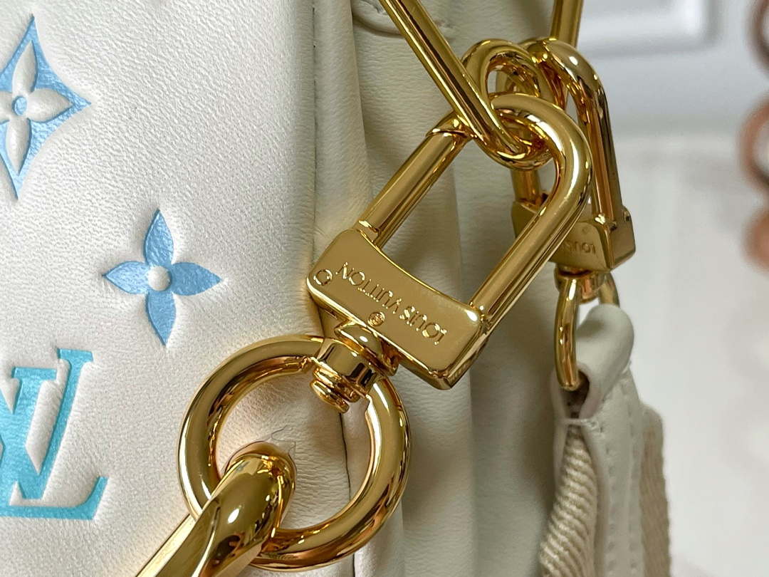 Louis Vuitton LV M11225 Coussin PM Handbag lambskin White and Blue - Default Title - View 5