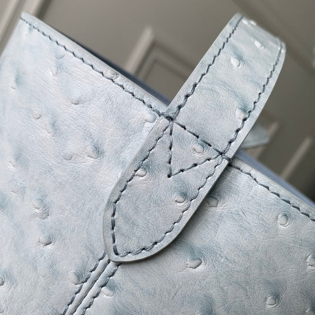 Louis Vuitton LV M12925 All In BB Bag Blue Ostrich Pattern