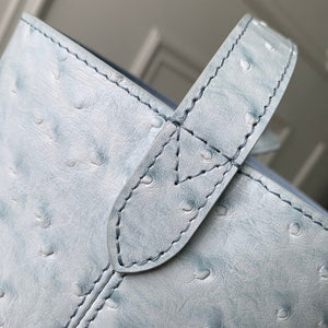 Louis Vuitton LV M12925 All In BB Bag Blue Ostrich Pattern - Default Title - View 8