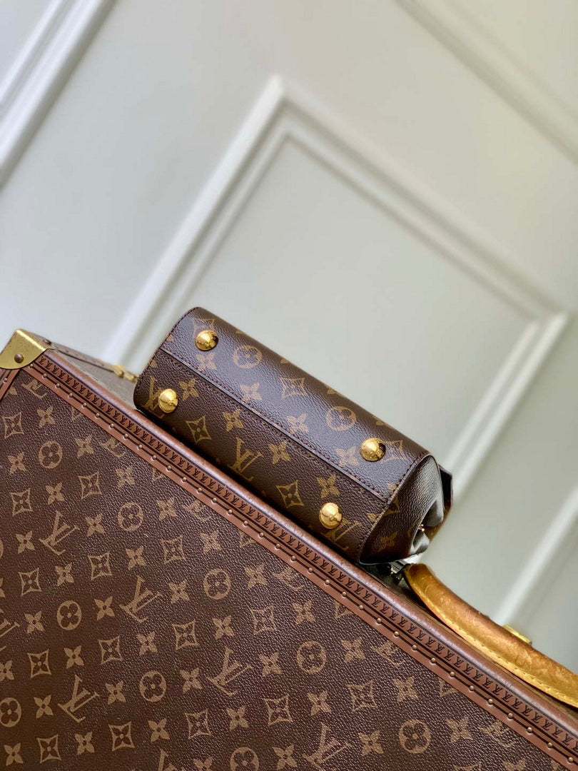 Louis Vuitton LV M13040 Cluny Mini Handbag