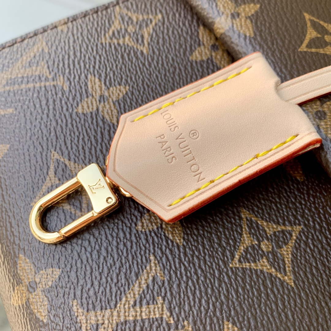 Louis Vuitton LV M13040 Cluny Mini Handbag