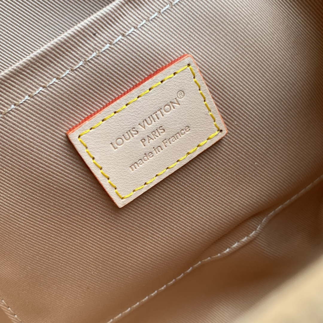 Louis Vuitton LV M13040 Cluny Mini Handbag