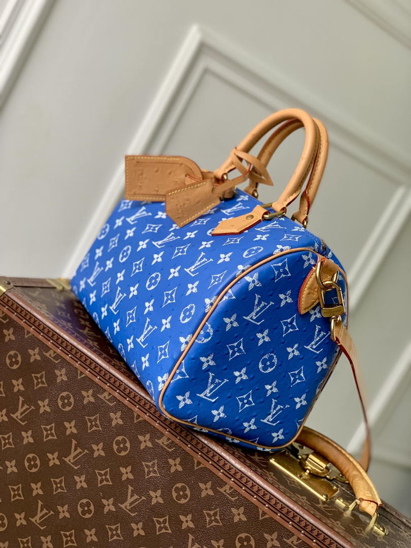 Louis Vuitton LV M13904 Speedy P9 Bandoulière 30 Bag Sky Blue