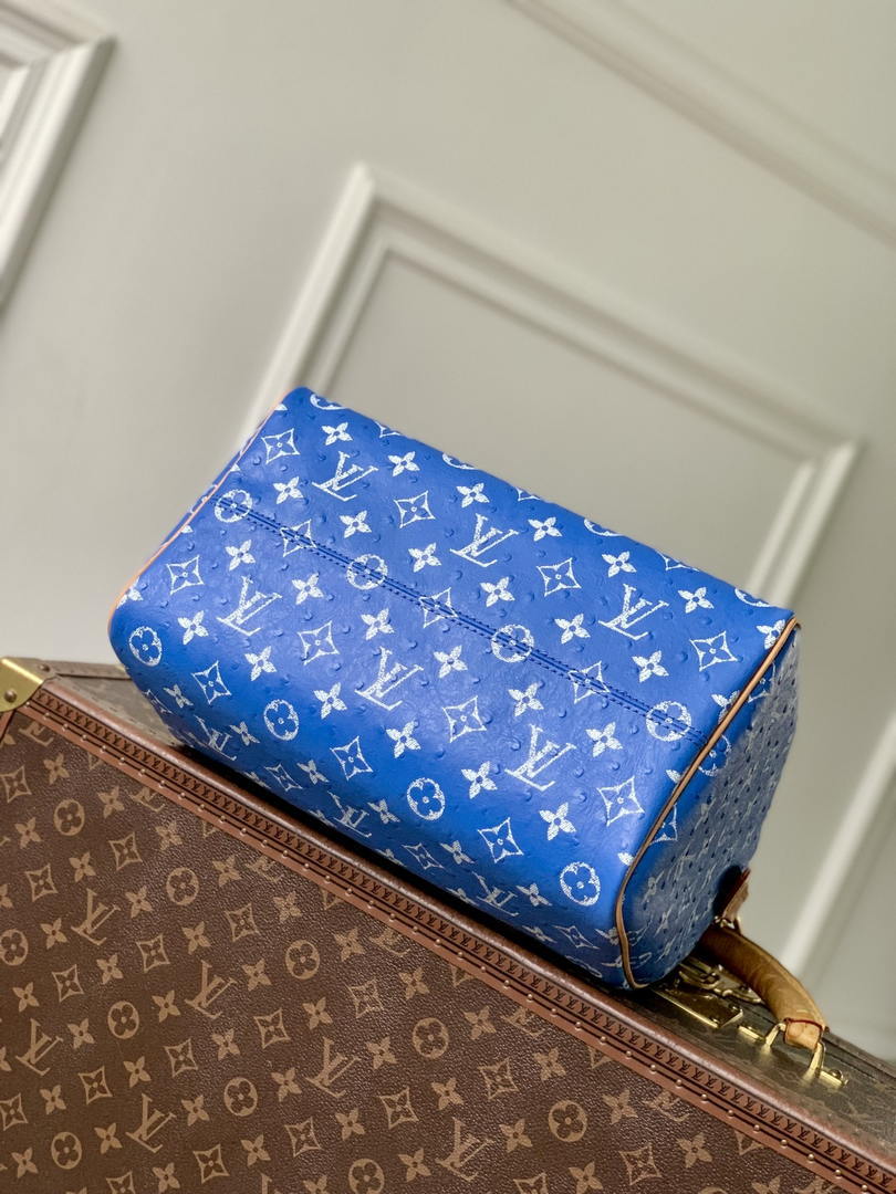 Louis Vuitton LV M13904 Speedy P9 Bandoulière 30 Bag Sky Blue