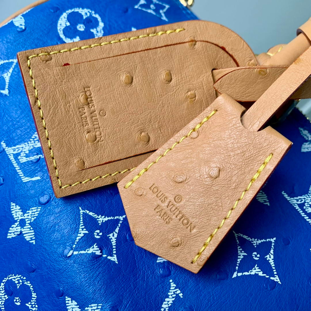 Louis Vuitton LV M13904 Speedy P9 Bandoulière 30 Bag Sky Blue