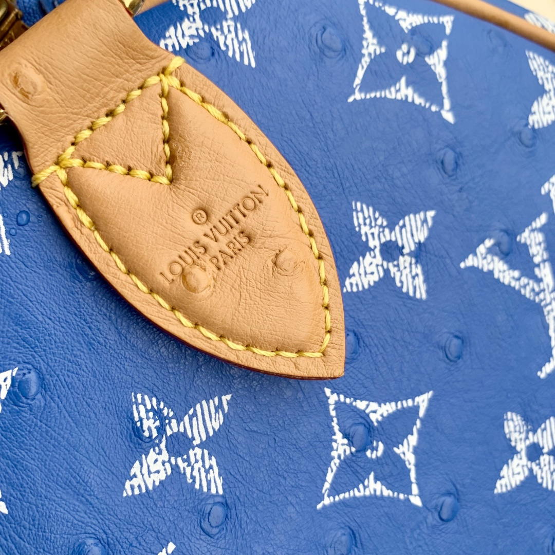 Louis Vuitton LV M13904 Speedy P9 Bandoulière 30 Bag Sky Blue - Default Title - View 7
