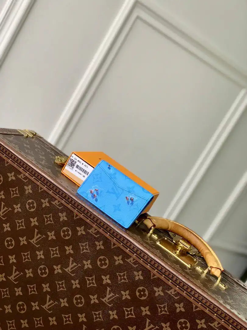 Louis Vuitton LV M14881 Pocket Organizer LW10016