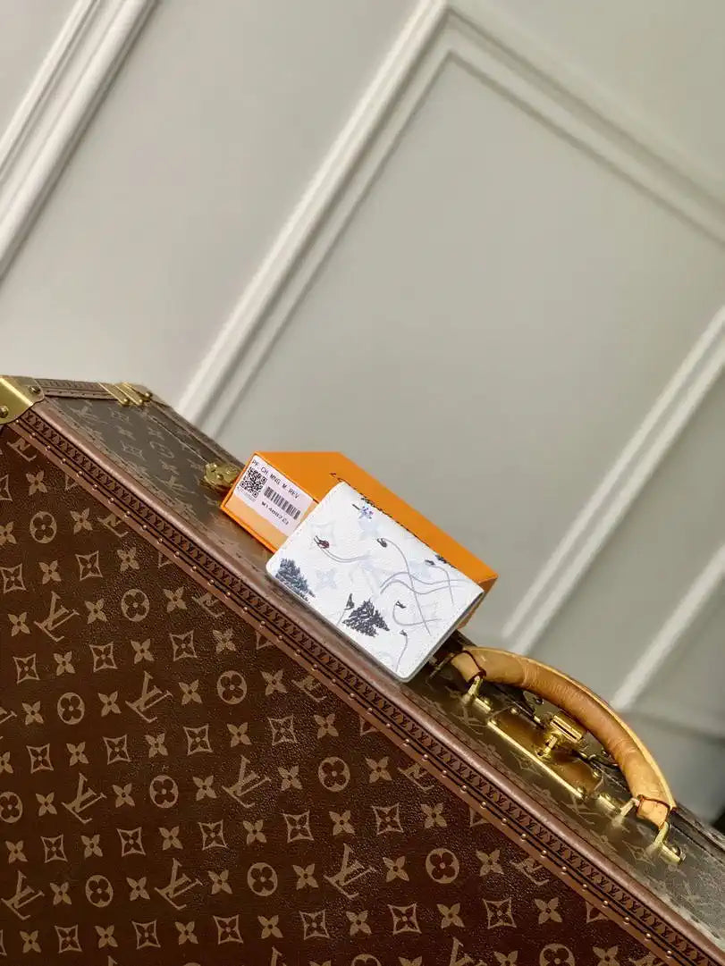 Louis Vuitton LV M14882 Pocket Organizer LW10015