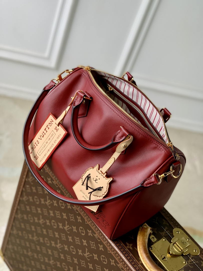 Louis Vuitton  LV M25766 Speedy 30 Soft Bag Travels With Grace Coddington  Red - Default Title - View 9