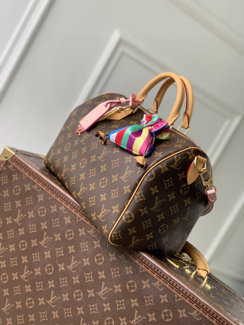 Louis Vuitton  LV M26498 Speedy 30 Soft Bag Monogram