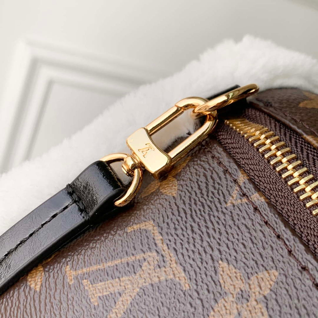 Louis Vuitton LV M26853 Teddy Mitt Bag