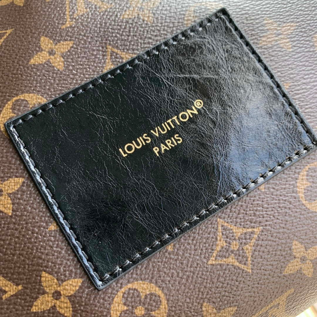 Louis Vuitton LV M26853 Teddy Mitt Bag