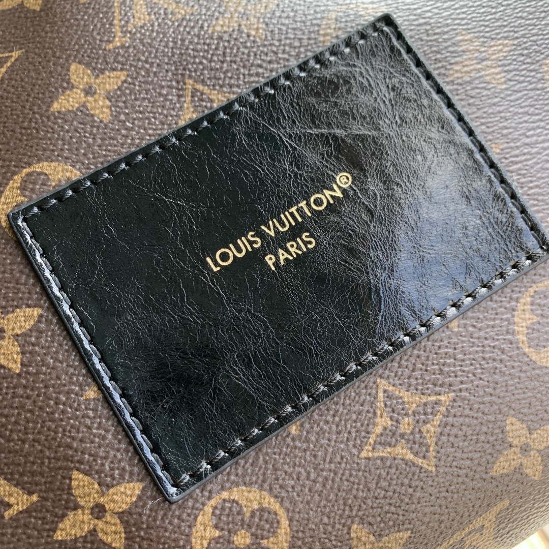 Louis Vuitton LV M26853 Teddy Mitt Bag