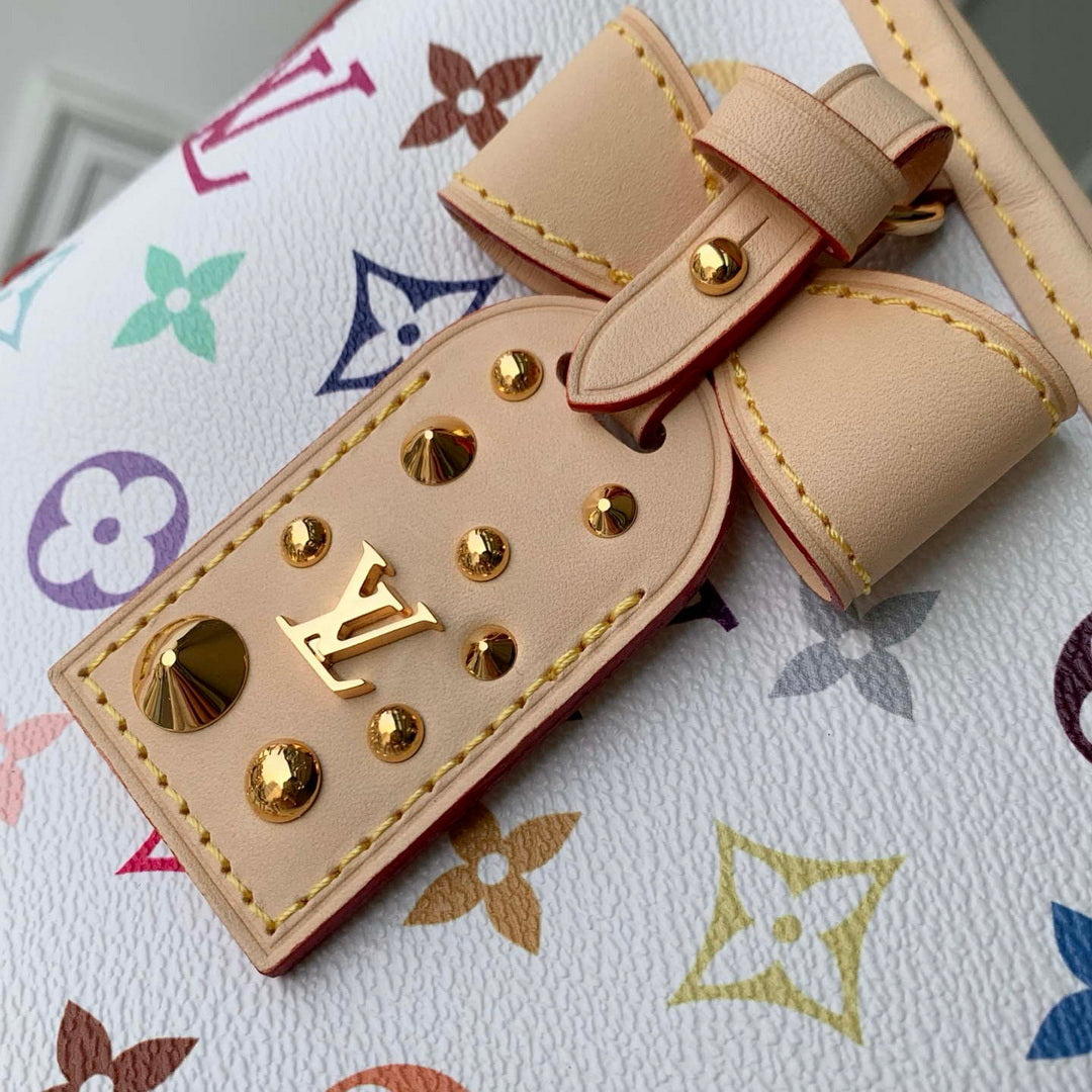 Louis Vuitton LV M27578 LV x TM Carryall East West Bag Multicolored