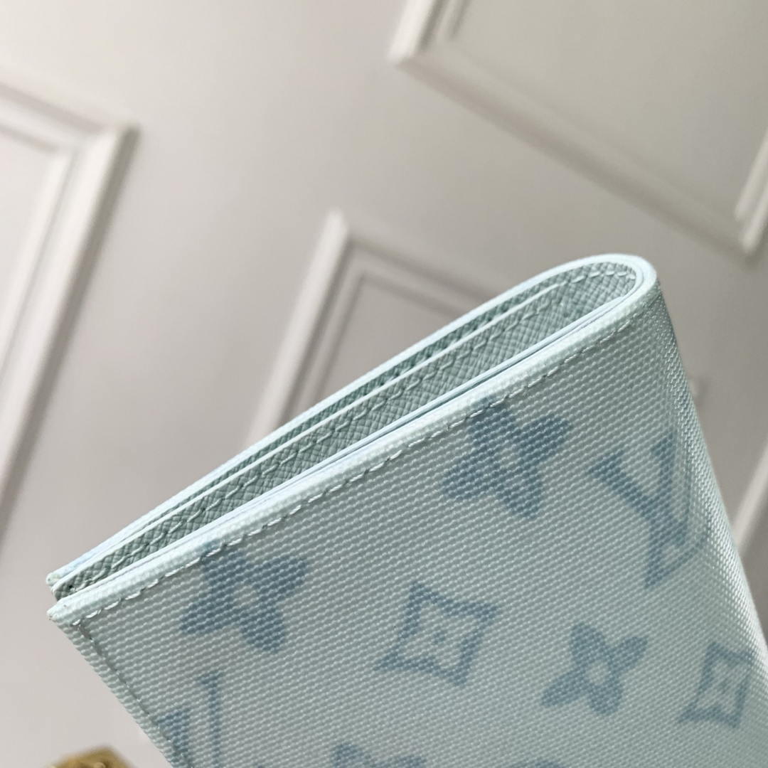 Louis Vuitton LV M27612 Passport Cover Other Monogram Canvas Light Blue