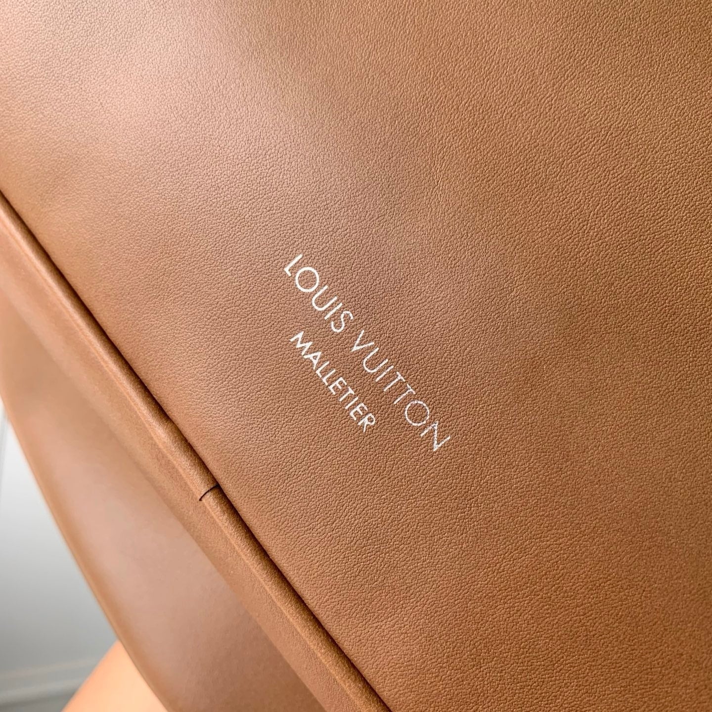 Louis Vuitton LV M27999 Nil XL Bag Caramel - Default Title - View 9