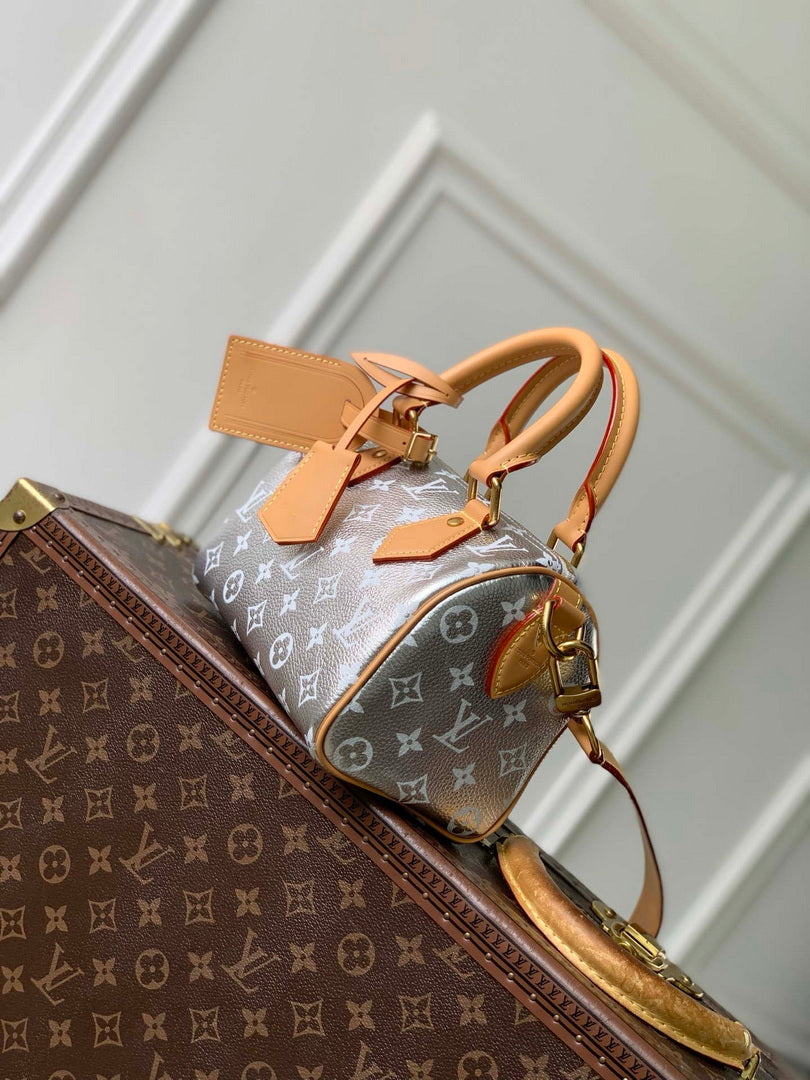 Louis Vuitton LV M28307 Speedy P9 Bandouliere 20 Bag Silvery