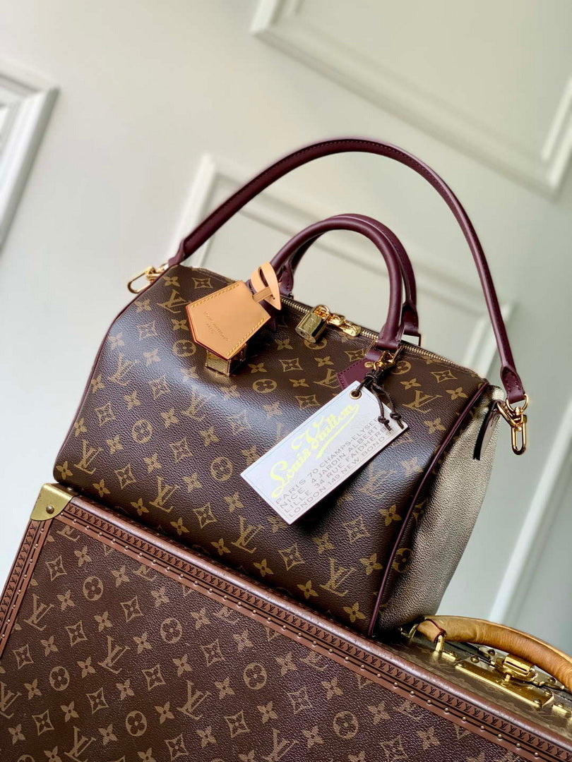 Louis Vuitton LV M28379 Speedy 30 Soft Celebration Bag