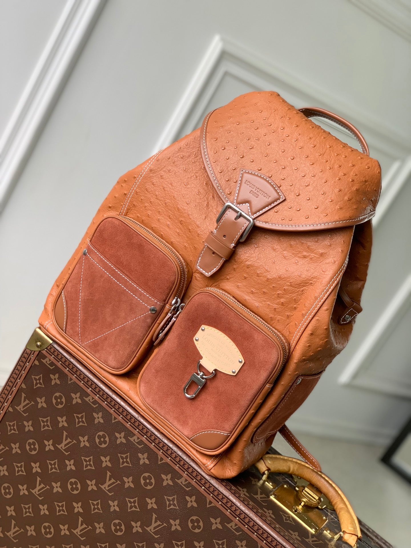 Louis Vuitton LV M28380 Montsouris Cargo Backpack Brown ostrich pattern - Default Title - View 1