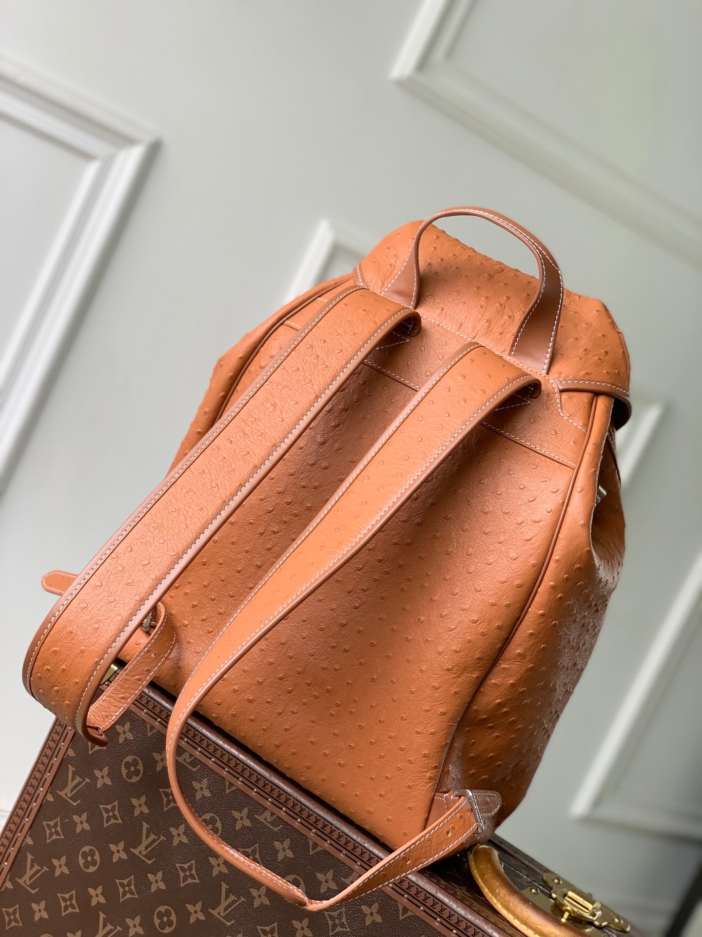 Louis Vuitton LV M28380 Montsouris Cargo Backpack Brown ostrich pattern - Default Title - View 3