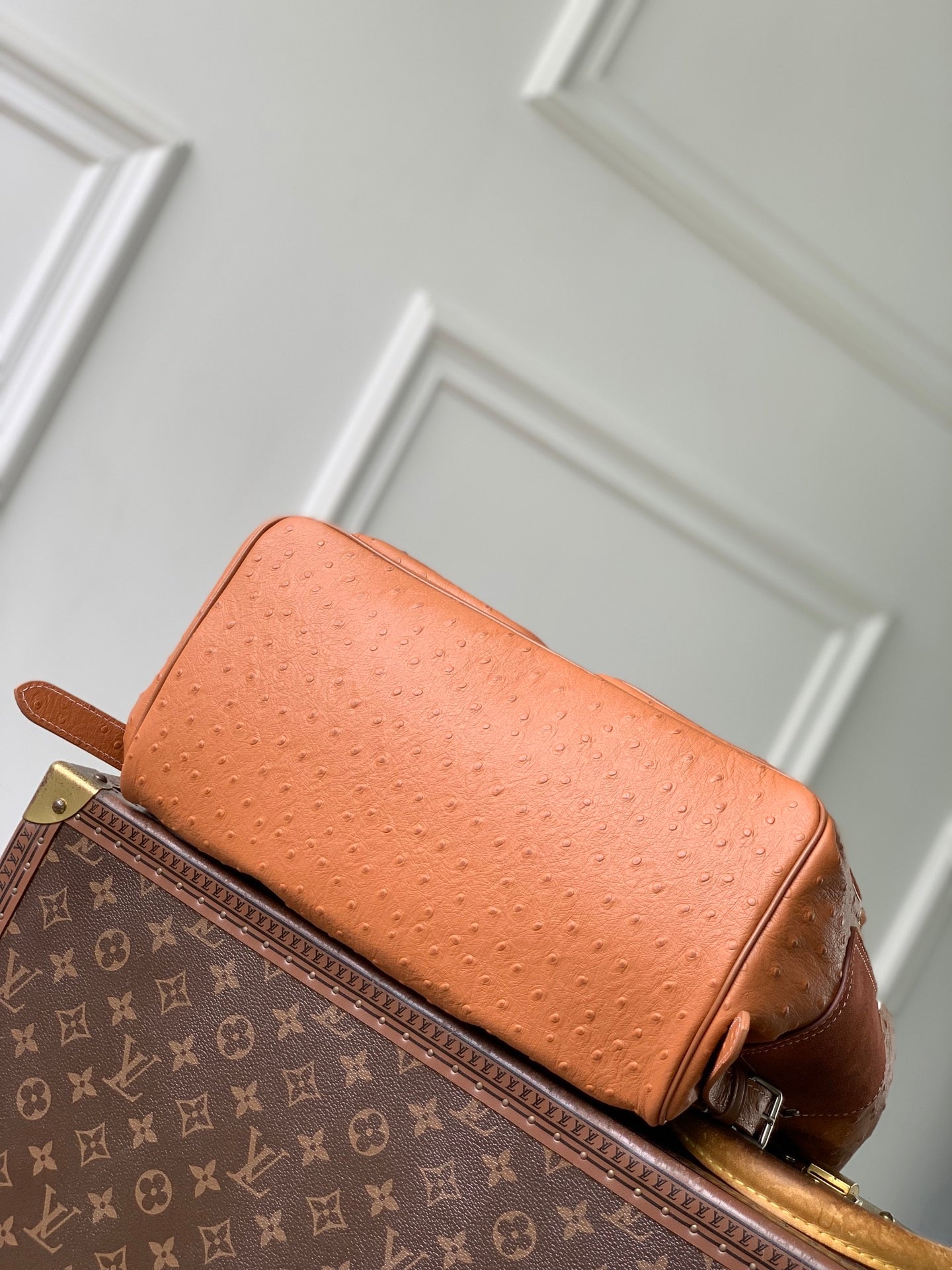 Louis Vuitton LV M28380 Montsouris Cargo Backpack Brown ostrich pattern - Default Title - View 4