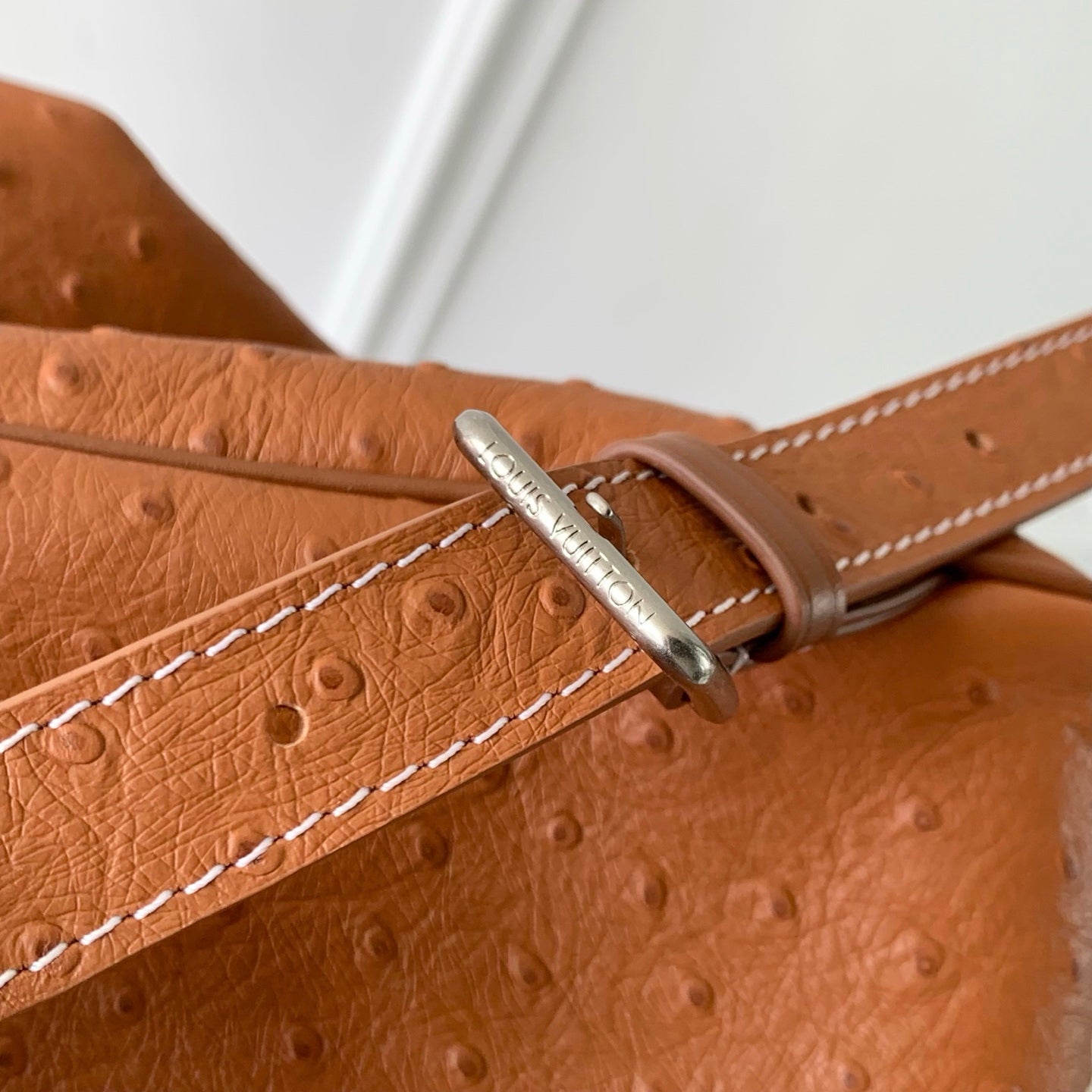 Louis Vuitton LV M28380 Montsouris Cargo Backpack Brown ostrich pattern - Default Title - View 6