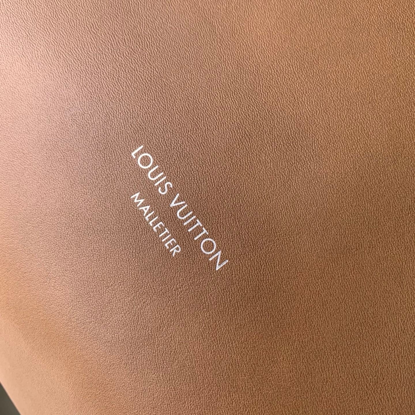 Louis Vuitton LV M28392 Vagabond Hobo Bag Caramel