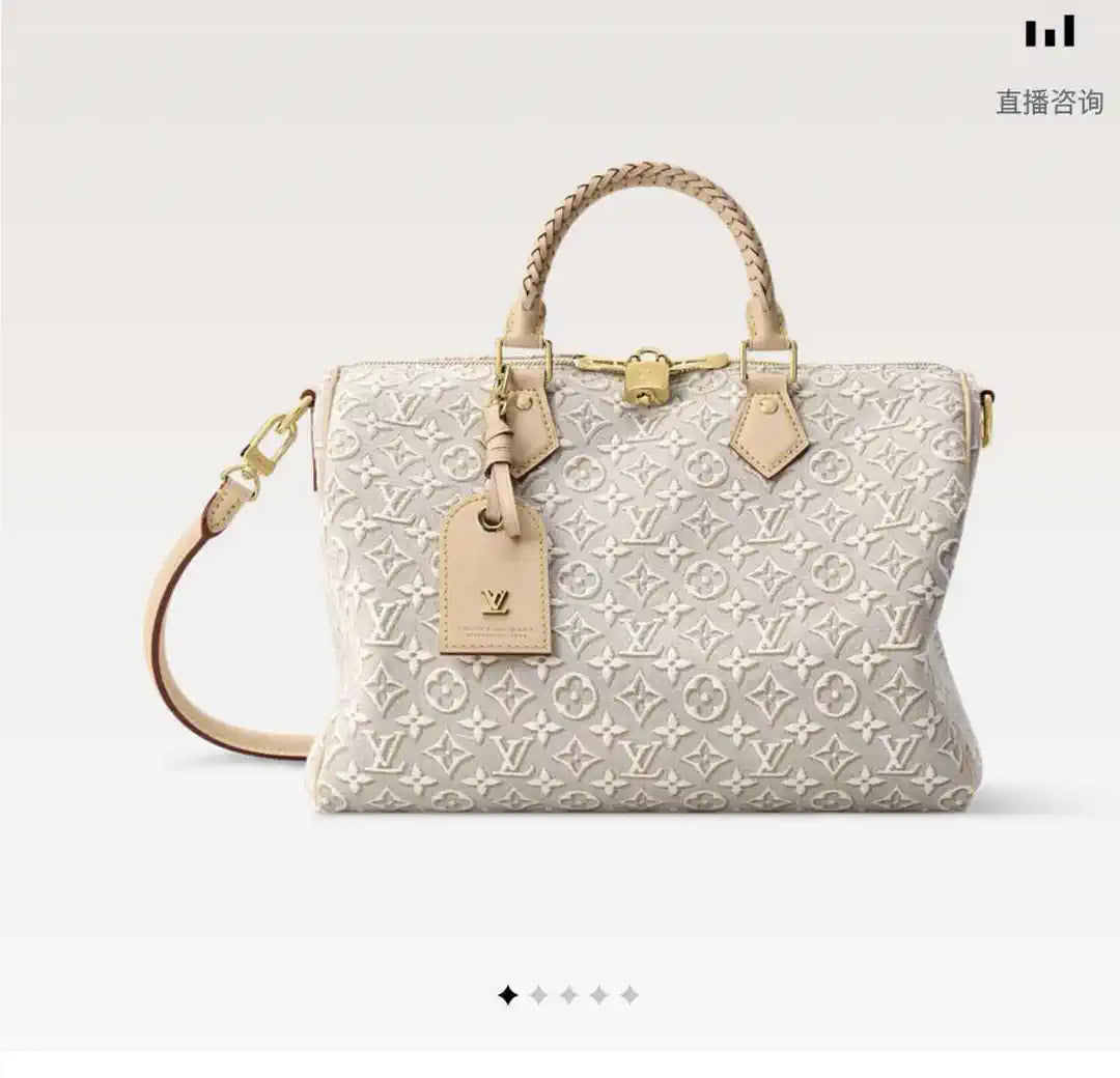 Louis Vuitton  LV M28479 Speedy 30 autres toiles monogram - Default Title - View 1