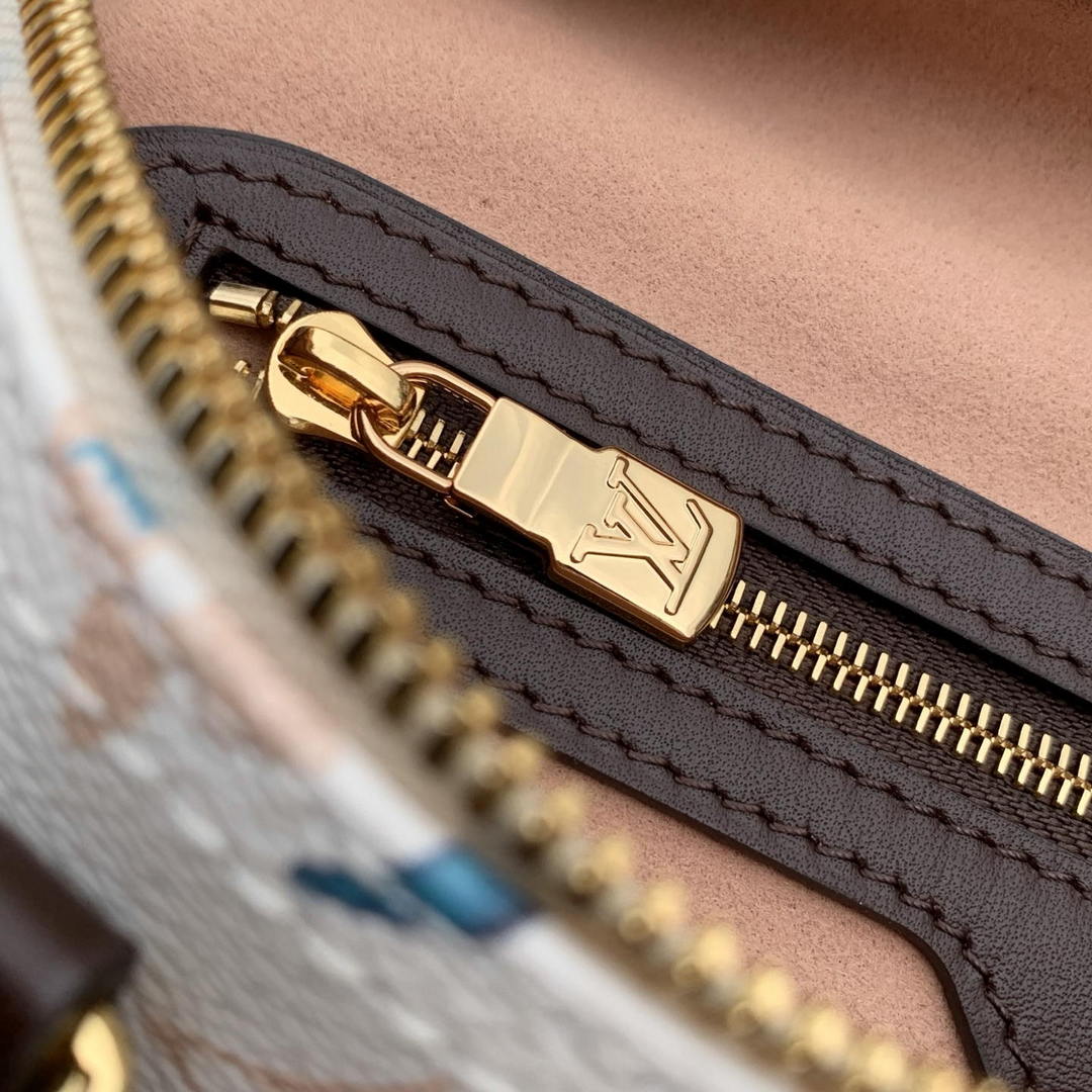 Louis Vuitton LV M29066 Speedy Sofe 30 Bag Other Monogram Canvas