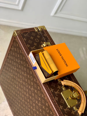 Louis Vuitton LV M29293 Enveloppe Carte de Visite Yellow - Default Title - View 9