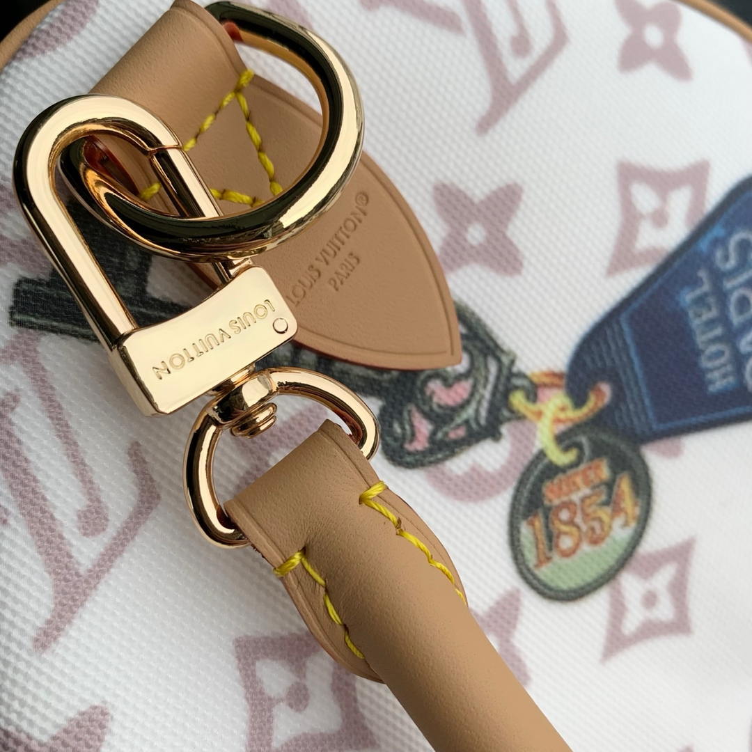 Louis Vuitton  LV M29377 Speedy 30 Soft autres toiles monogram