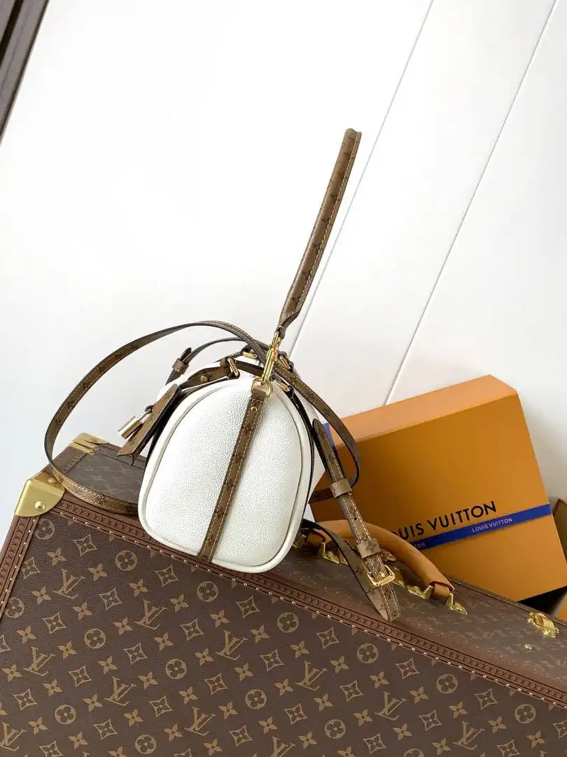 Louis Vuitton LV M29392 Express PM Bag White