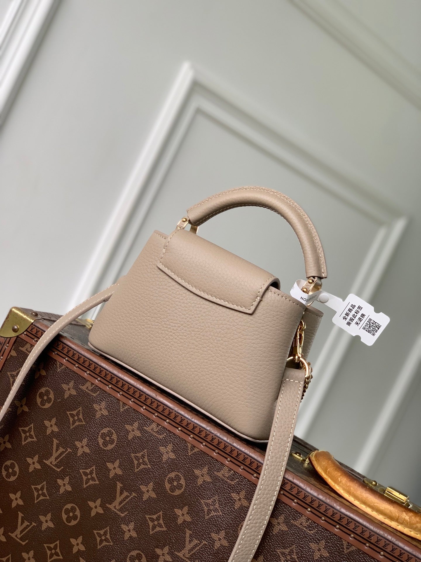 Louis Vuitton LV M29440 Capucines Mini Bag Galet Grey Taurillon leather - Default Title - View 3