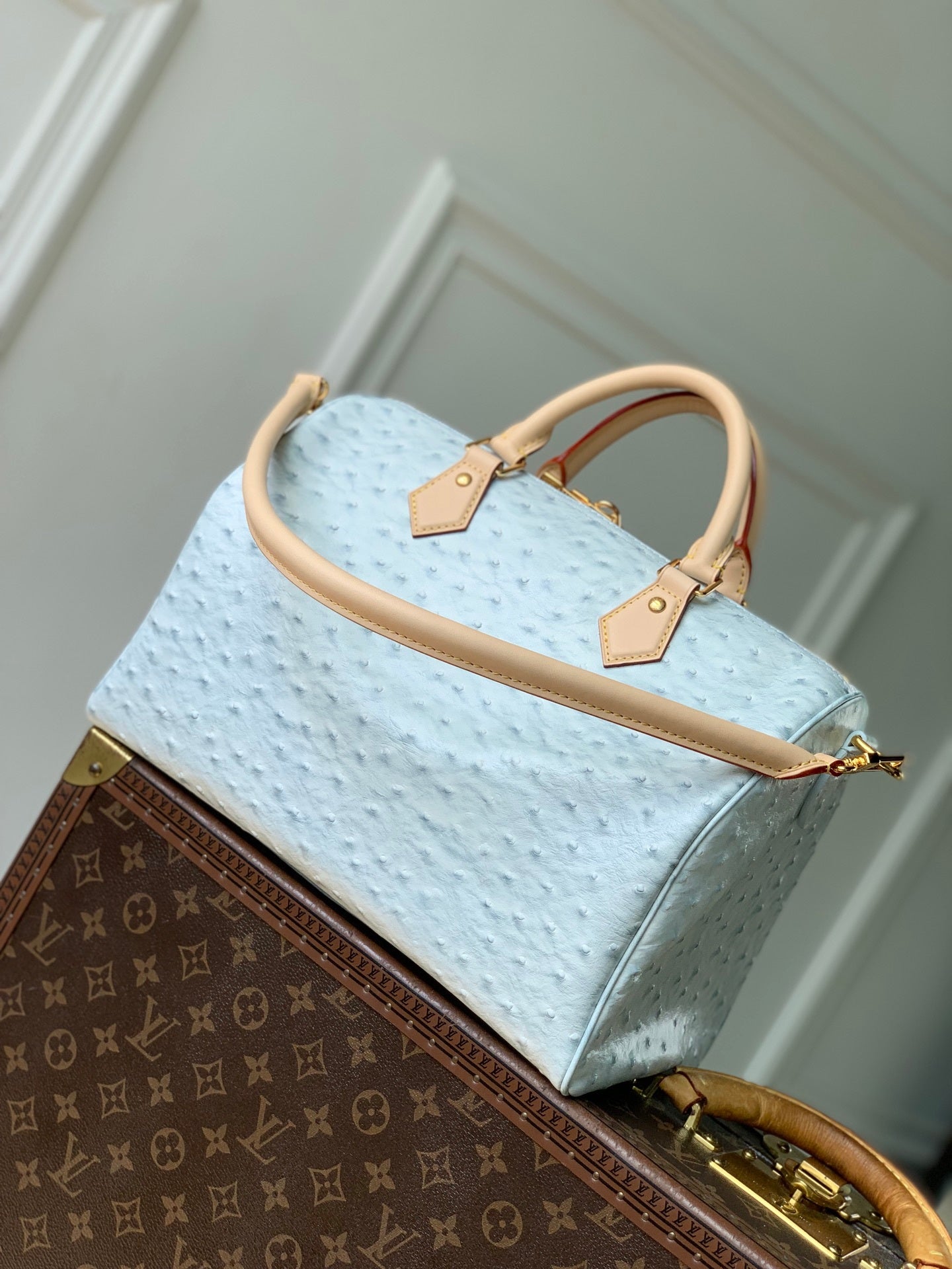 Louis Vuitton LV M41112 Speedy Soft 30 Boho Bag Blue/Ostrich Pattern - Default Title - View 3