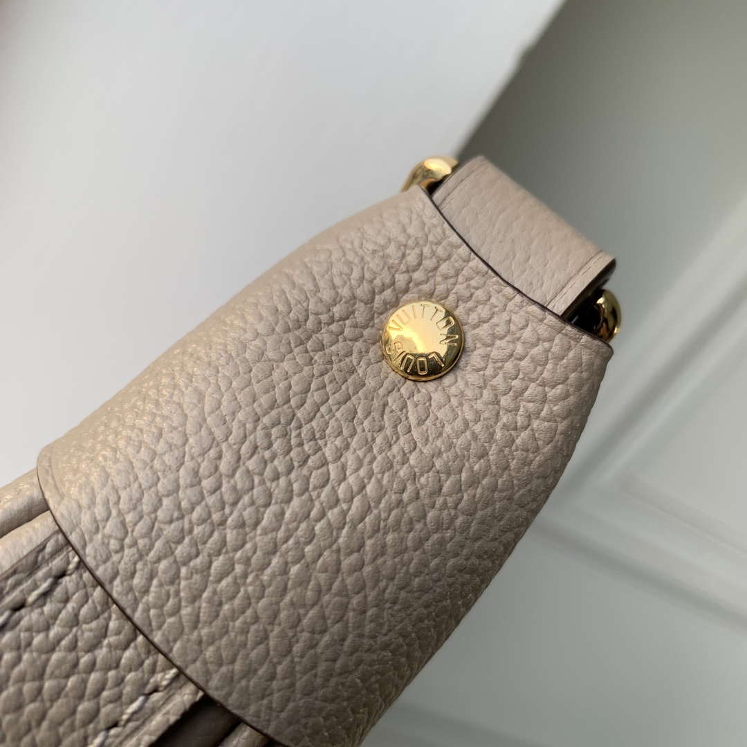 Louis Vuitton LV M46738 Loop Hobo Bag Bicolor Monogram