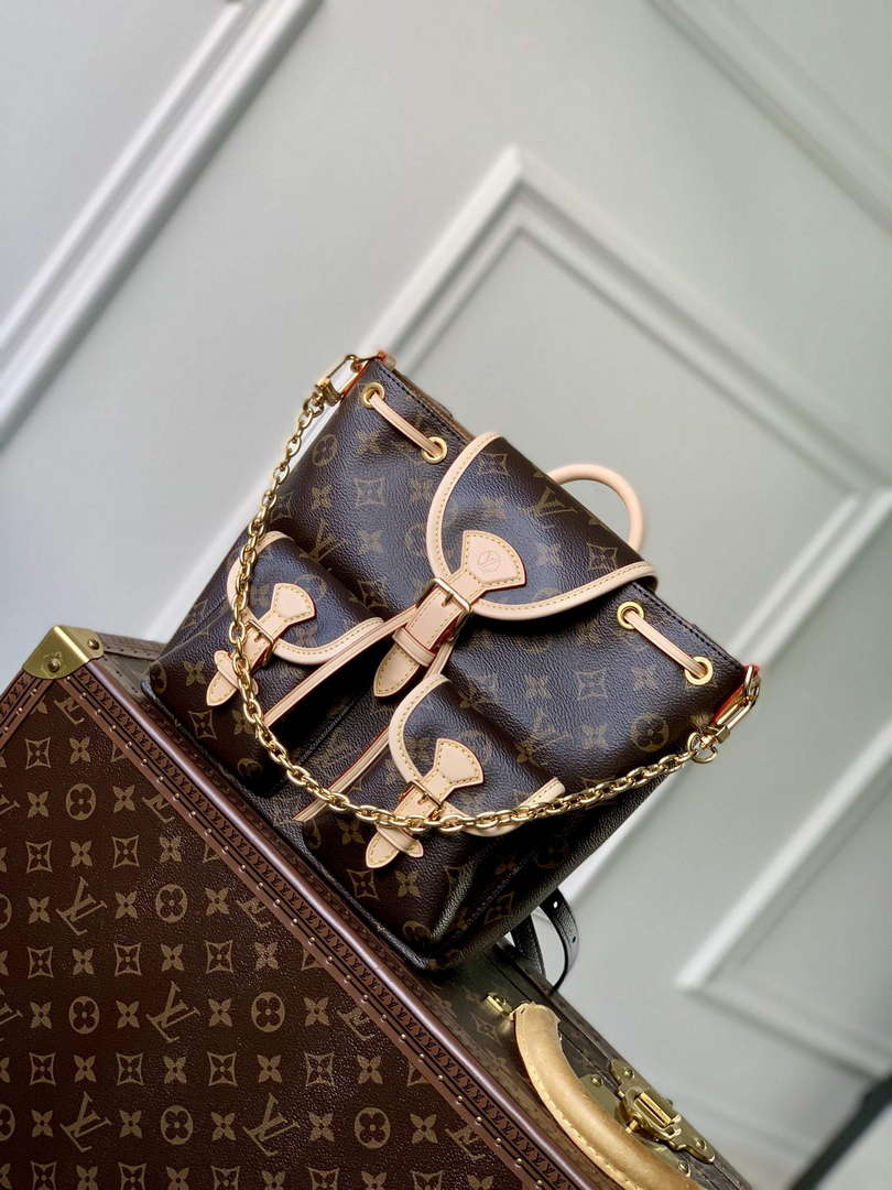 Louis Vuitton LV M46932 Excursion PM Backpack Monogram - Default Title - View 1