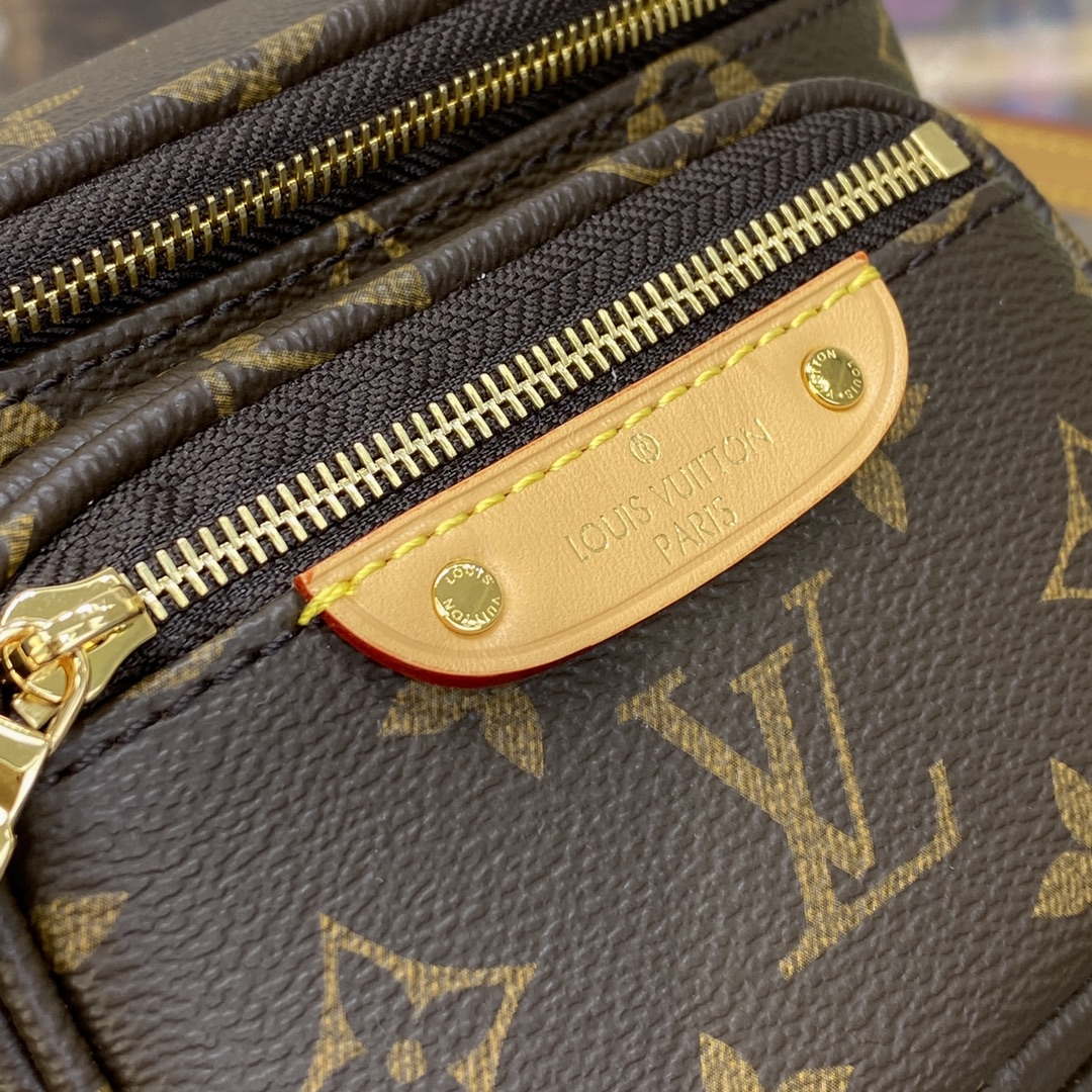 Louis Vuitton LV M82335 Mini Bumbag Monogram - Default Title - View 5