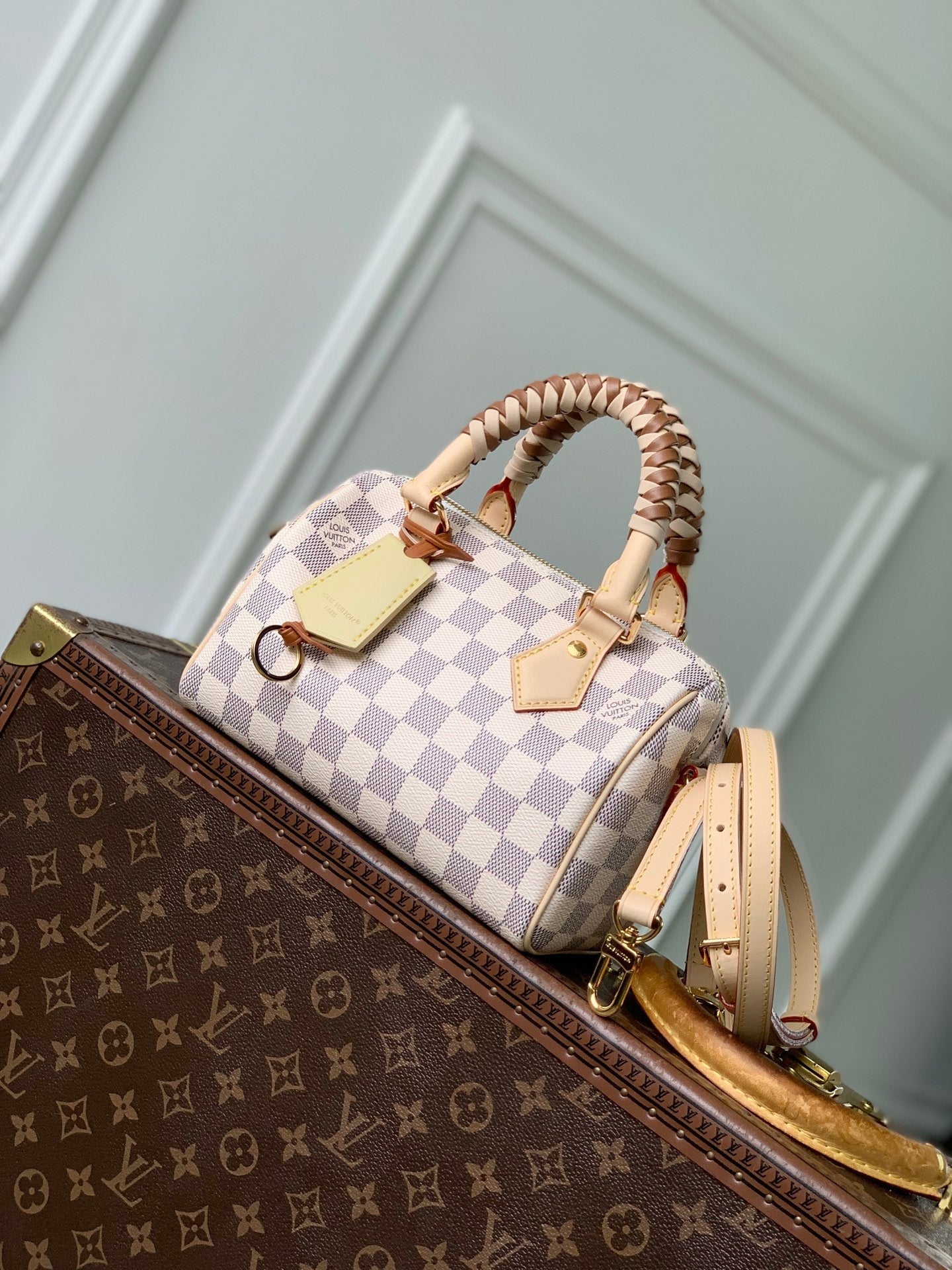 Louis Vuitton LV N40950 Speedy Bandoulière 20 Bag