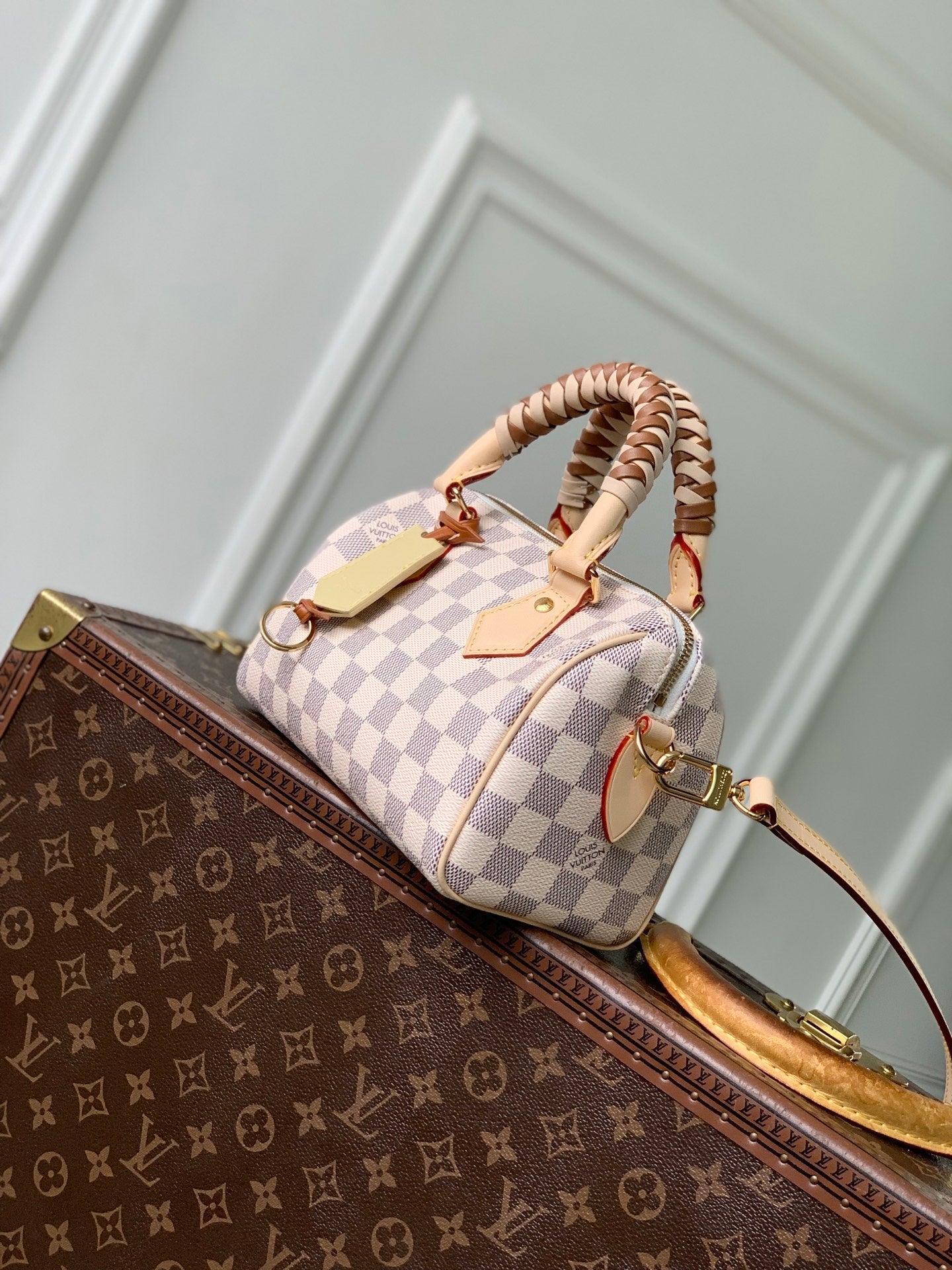 Louis Vuitton LV N40950 Speedy Bandoulière 20 Bag