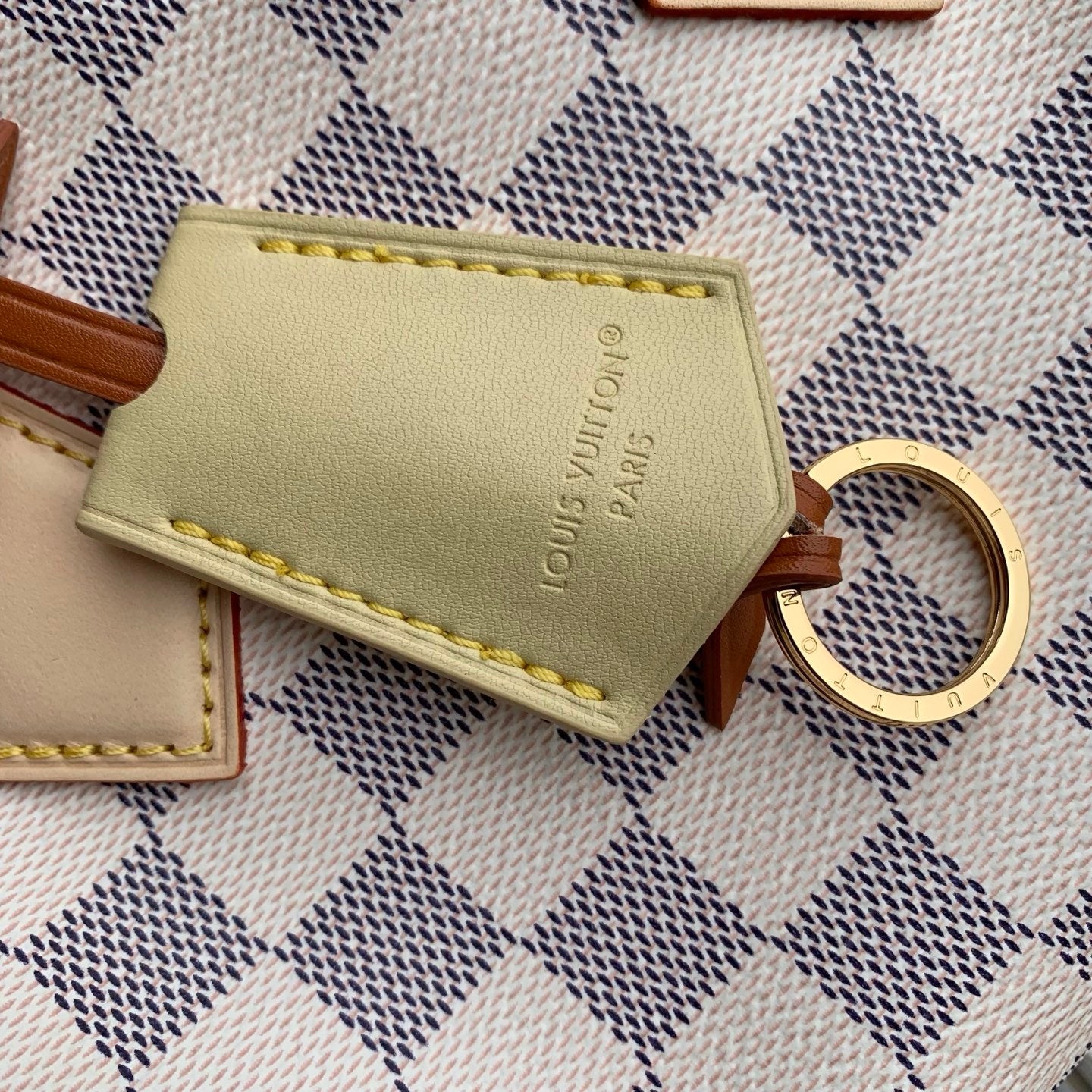 Louis Vuitton LV N40950 Speedy Bandoulière 20 Bag