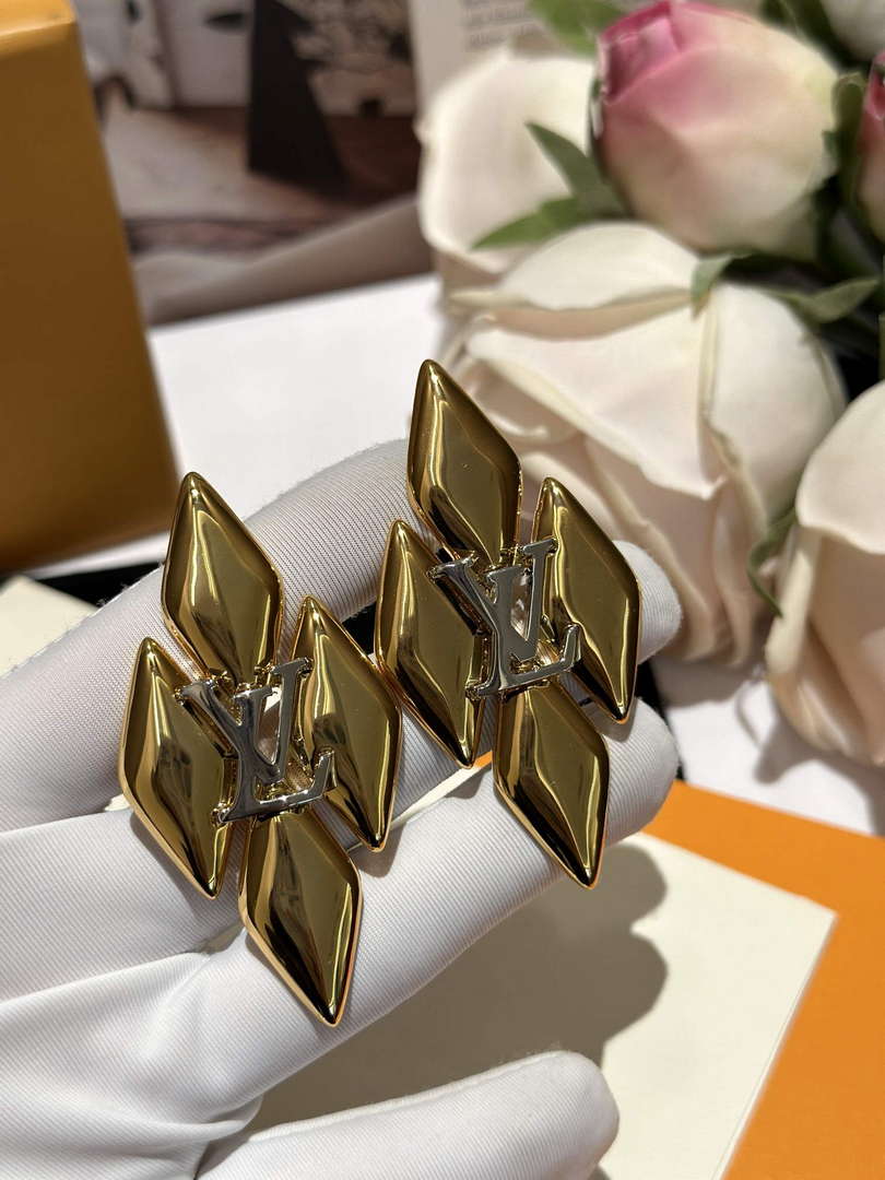 Louis Vuitton M01456 GO-14 Earrings Jewelry L50132