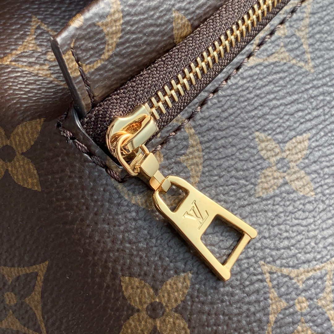 Louis Vuitton LV M45501 Montsouris PM monogram anvas natural leather - Default Title - View 8