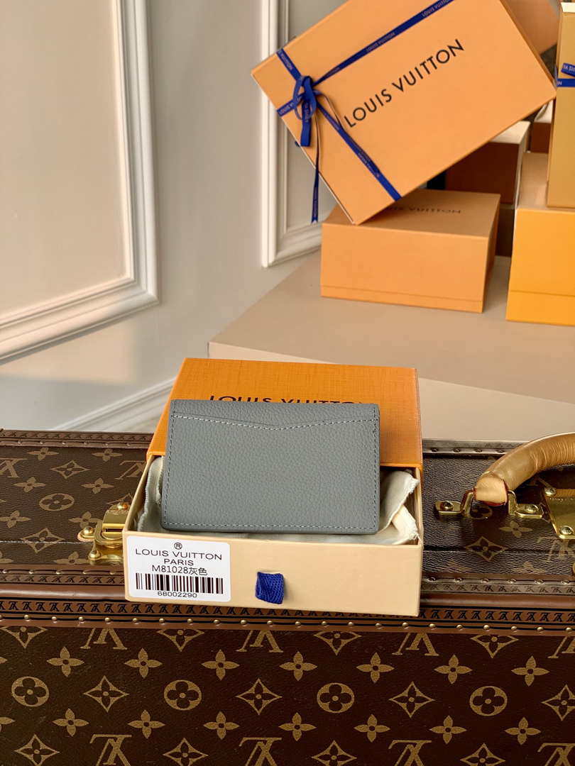Louis Vuitton M81028 Pocket Organizer LV aerogram Gray