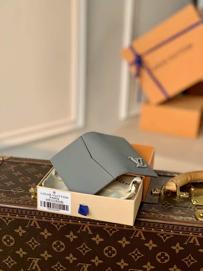 Louis Vuitton M81028 Pocket Organizer LV aerogram Gray