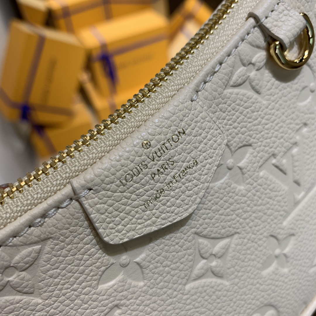 Louis Vuitton M81066 LV Easy Pouch ON Strap Monogram Bag
