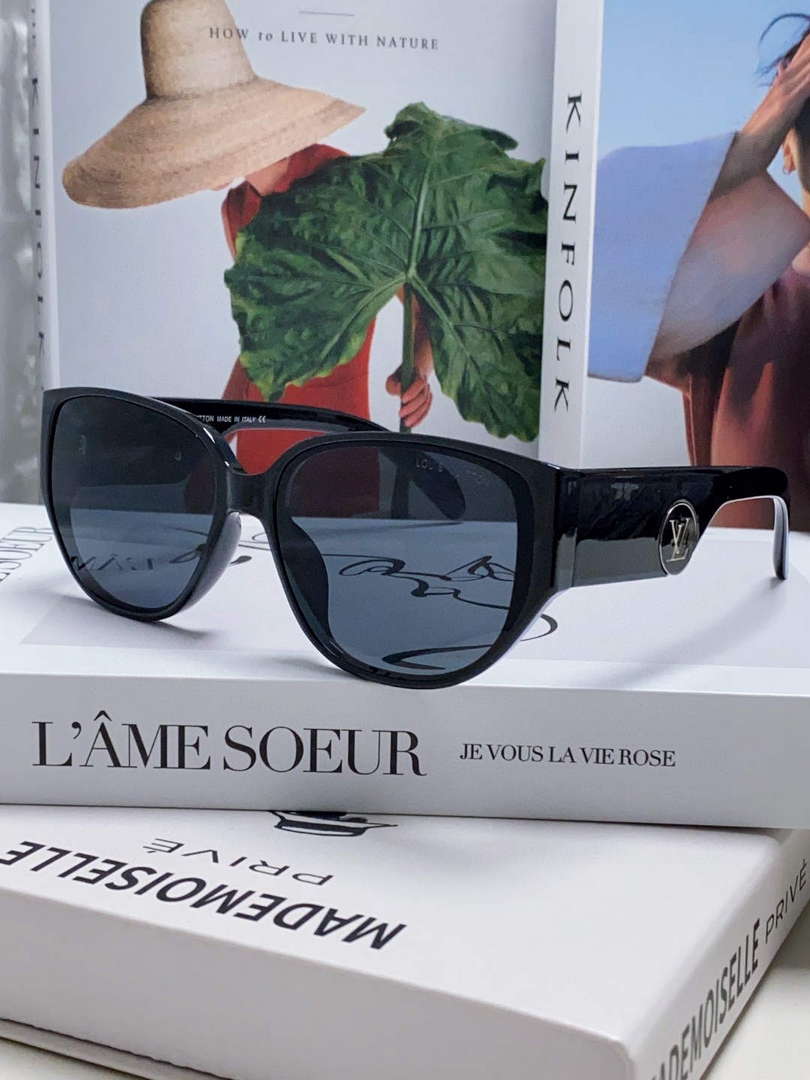 Louis Vuitton New Fashion Sunglasses L22272 - Default Title - View 1