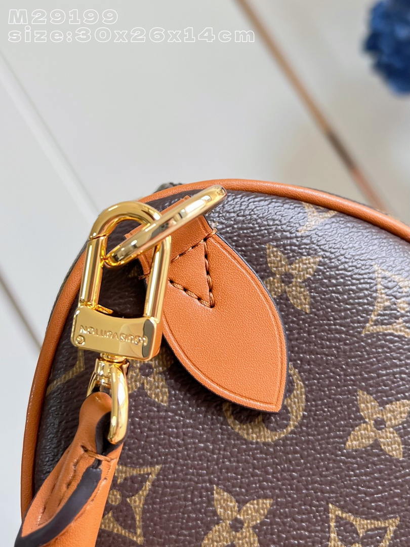 Louis Vuitton Speedy 30 Bag LV M29199 Monogram Brown