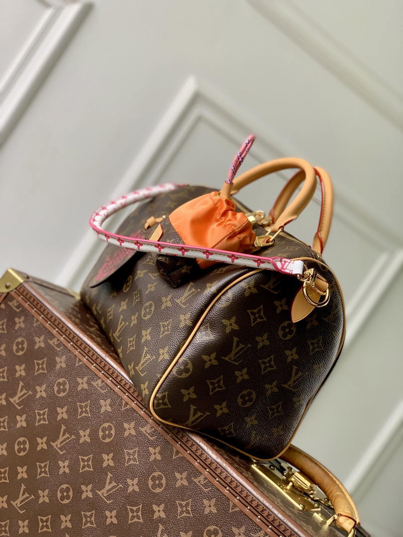 Louis Vuitton Speedy 30 Soft Bag Monogram LV M27512 - Default Title - View 2